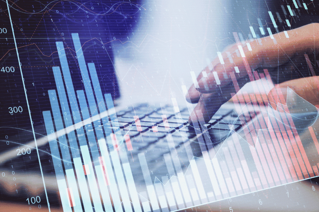 AML Compliance Monitoring Software in Dubai